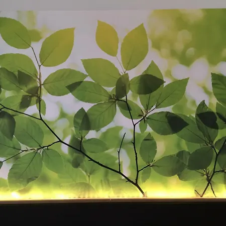 Inhouse - Wohnen Auf Zeit 4*