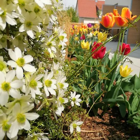 Inhouse - Wohnen Auf Zeit 잉골슈타트